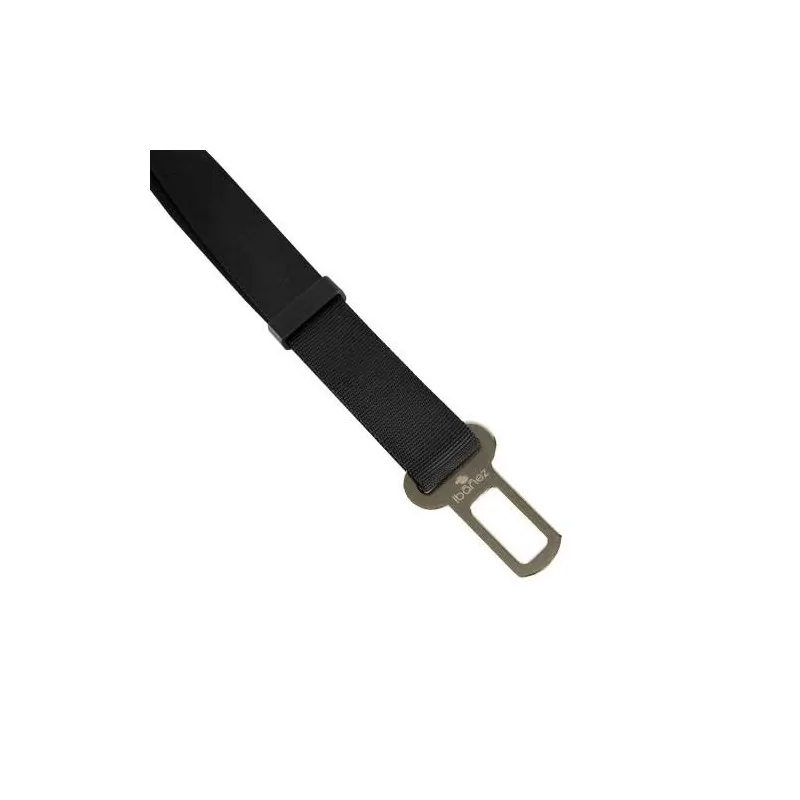 copy of 